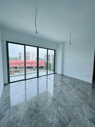Wilshire Residences (D10), Apartment #455489151